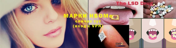 стафф Алзамай