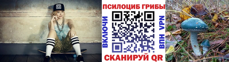 Галлюциногенные грибы Cubensis  mega зеркало  Хадыженск 