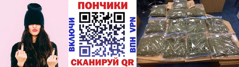 Каннабис Bruce Banner  Хадыженск 